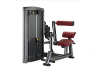 gym equipment Back Extension XH912