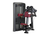gym equipment Lateral Raise XH918