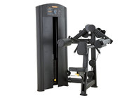 fitness equipment Lateral Raise Machine XF10