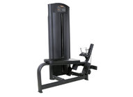 fitness equipment Low Row Machine XF22