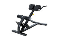 fitness equipment Roman Chair (Back Extension) XF32