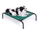 100x80x20cm Durable Travel Outdoor Pet Bed Dog Modern, Scratch Resistant Pet Dog Bed Raised Frame ,Dog Raised Bed Pet supplier