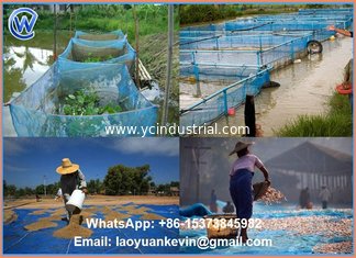 Hot Selling 100% HDPE 16 X 16 Eyes sea food grain rice fish drying net nylon woven screen net