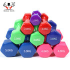 Hand Weights Strength Training Gym Fitness Ladies PVC Vinyl Dumbbell