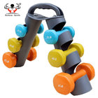 High Quality Total of 6pcs Display Dumbbell Set With Foldable Rack