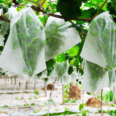 China Non Woven Fabrics For Planting Bags supplier