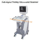 Advanced All Dynamic Focusing Medical Products Ultrasound