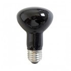 Black Light Bulb R80
