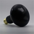 Reptile Moonlight Black Light Bulb R25/ R80 100W