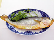 Good price frozen fresh yellow croaker from China for African macketing.