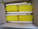 Bending Wire  100%  PP  Fiber House Cleaning Brush Plastic Handle supplier