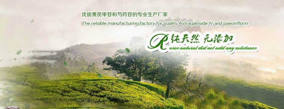 China best Astragaloside IV on sales