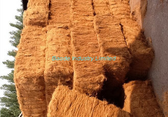 China 100% Natural Coir coconut fibre products best offer/100% Coconut Coir Fibre for Exports supplier