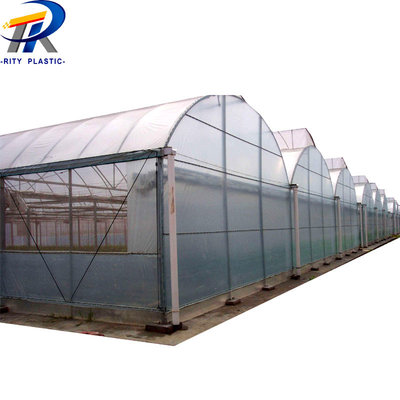 China big size EVA High Preserve Heat And High Transparency Dripping Anti-Fog Film agricultural greenhouse film supplier