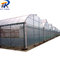 big size EVA High Preserve Heat And High Transparency Dripping Anti-Fog Film agricultural greenhouse film supplier