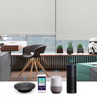 Google home alexa remote control smart wifi control motorized window roller shades blinds blackout