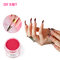 Fast Drying French Dipping Powder Nail Art High Quality White/pink/nude Nail Powder Dip Acrylic French Kit supplier
