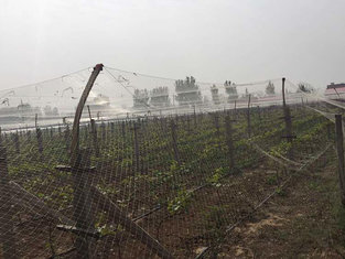 China Extruded square agricultural anti bird protection net supplier
