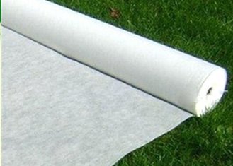 China Customizable Density Spunbonded 100% Polyester Nonwoven Fabric supplier