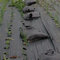 6m x 50m Anti Weed mat Weed Control Mat 100gsm PP Woven Fabric plastic weed barrier supplier