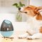 Interactive Tumbler Dog Treat Ball, Dog Leaky Food Dispensing Toy Puzzle Ball,The interactive cat feeder supplier