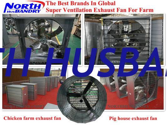 Poultry Equipment Centrifugal Exhaust Fans | Poultry Cone Centrifugal Exhaust Fans