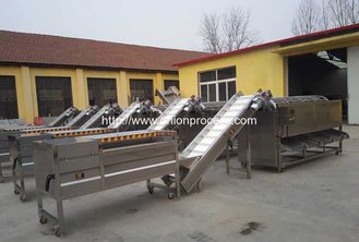 China Automatic Onion Water Washing and Grader Line supplier