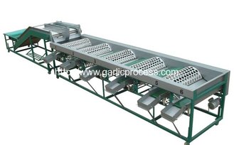 China Automatic Garlic Grader Machine for Sale supplier