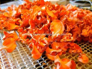 China Full Automatic Dehydrated Carrot Chips Production Line supplier