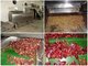 Chili Seeds Removing Machine supplier