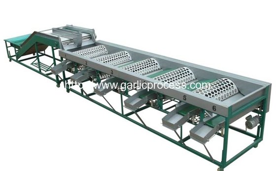 Automatic Garlic Grader Machine for Sale supplier