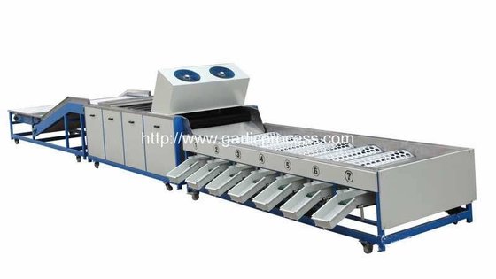 Automatic Garlic Sorting Machine with Brusher Cleaning Function supplier