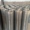 Electro Galvanized Welded Wire Mesh 0.3mm-5.0mm Thickness for Construction