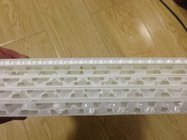 polypropylene plastic pp honeycomb / plastic honeycomb board / plastic honeycomb sheet supplier