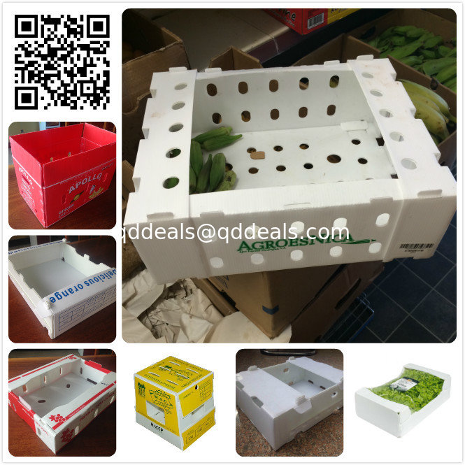 5kgs 10lbs pp corflute coroplast vegetable fruit packaging box supplier