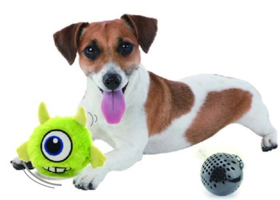 Sell motorized dog toy Good quality motorized dog toy manufacturers