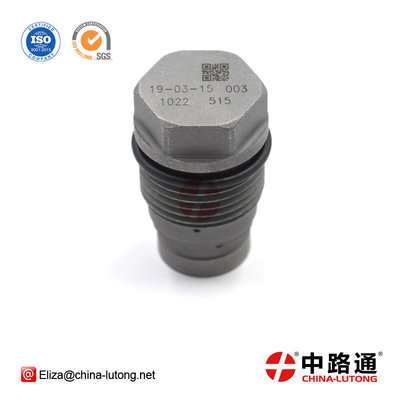 China Fuel Injector Pump Pressure Relief Valve 1 110 010 022 fuel rail pressure valve supplier