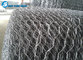 Chicken Wire Netting, Hexagonal Wire Mesh supplier