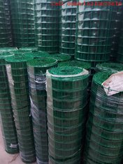China High Quality 100×100mm, 50×50mm PVC Coated Welded Wire Mesh(Hot Dipped/Eletric Galvanized Wire) supplier