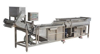 China Automatic Ginger Washing Machine , Stainless Steel Vegetable Washing Equipment supplier