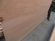 Bintangor/Okoume face commercial plywood/furniture grade plywood.poplar or hardwood core,1220*2440mm.12,15,18mm