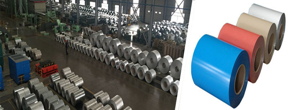 China best Prepainted Galvanized Steel Coil on sales