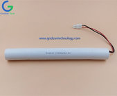 Ni-Cd Rechargeable Battery Pack C3000mAh 6.0V for Emergency Lighting Battery with Long Life Cycle and High Effeciency
