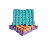 Full Atomatic Paper Pulp Egg Tray Machine(FC-ZMW-3)