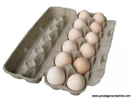 Egg tray plant(FC-ZMW-3)