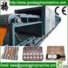 Single layer Paper Egg Tray Drying Line