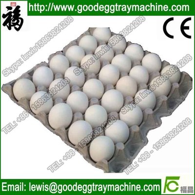 Egg Tray Machine (FZ-ZMW-2)