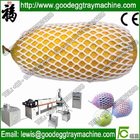 Made in China FDA Testing Foam Apple Net making machinery