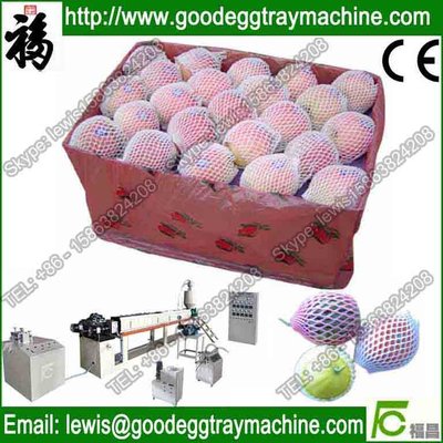 high quality PE foam net plastic extruder(FC-75)