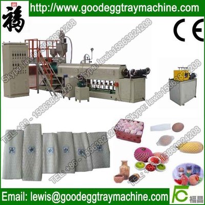 Fruit or vegetables packaging Net Production Line